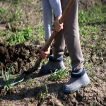 Archaeologist Near Me in Newton 1