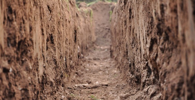 Archaeologist Company in Middleton